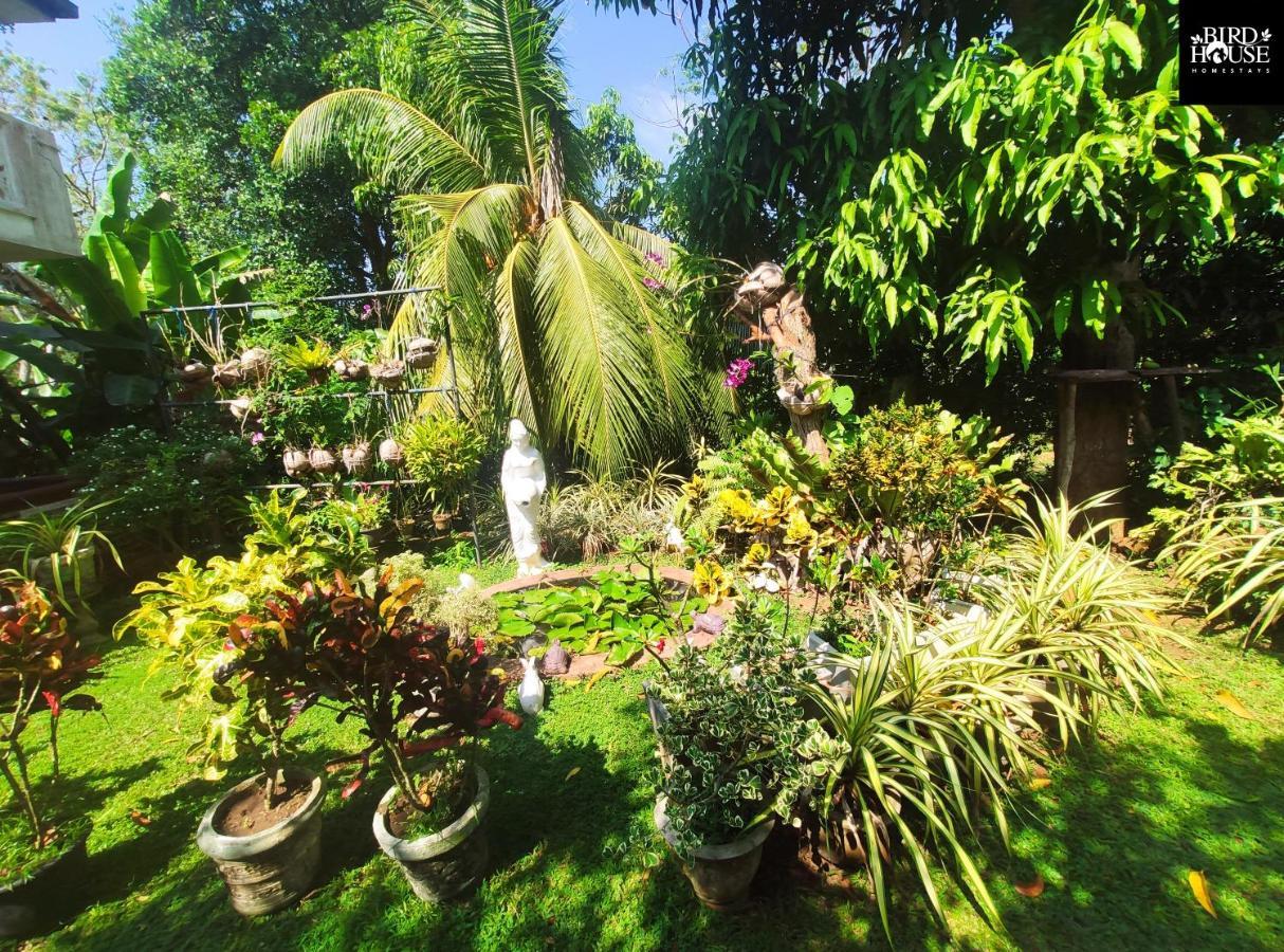 Bird House Homestays Tangalle Exterior foto