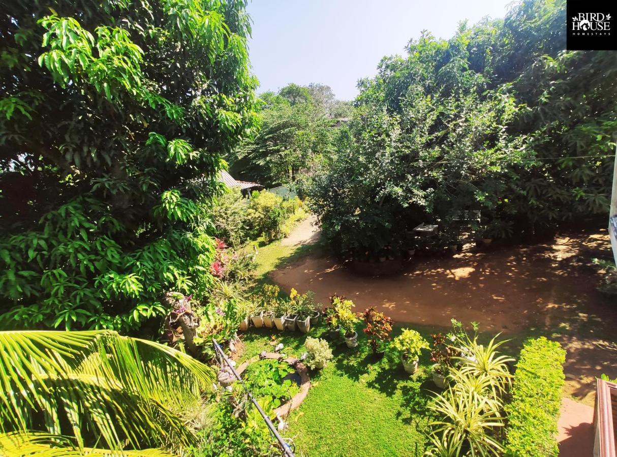 Bird House Homestays Tangalle Exterior foto